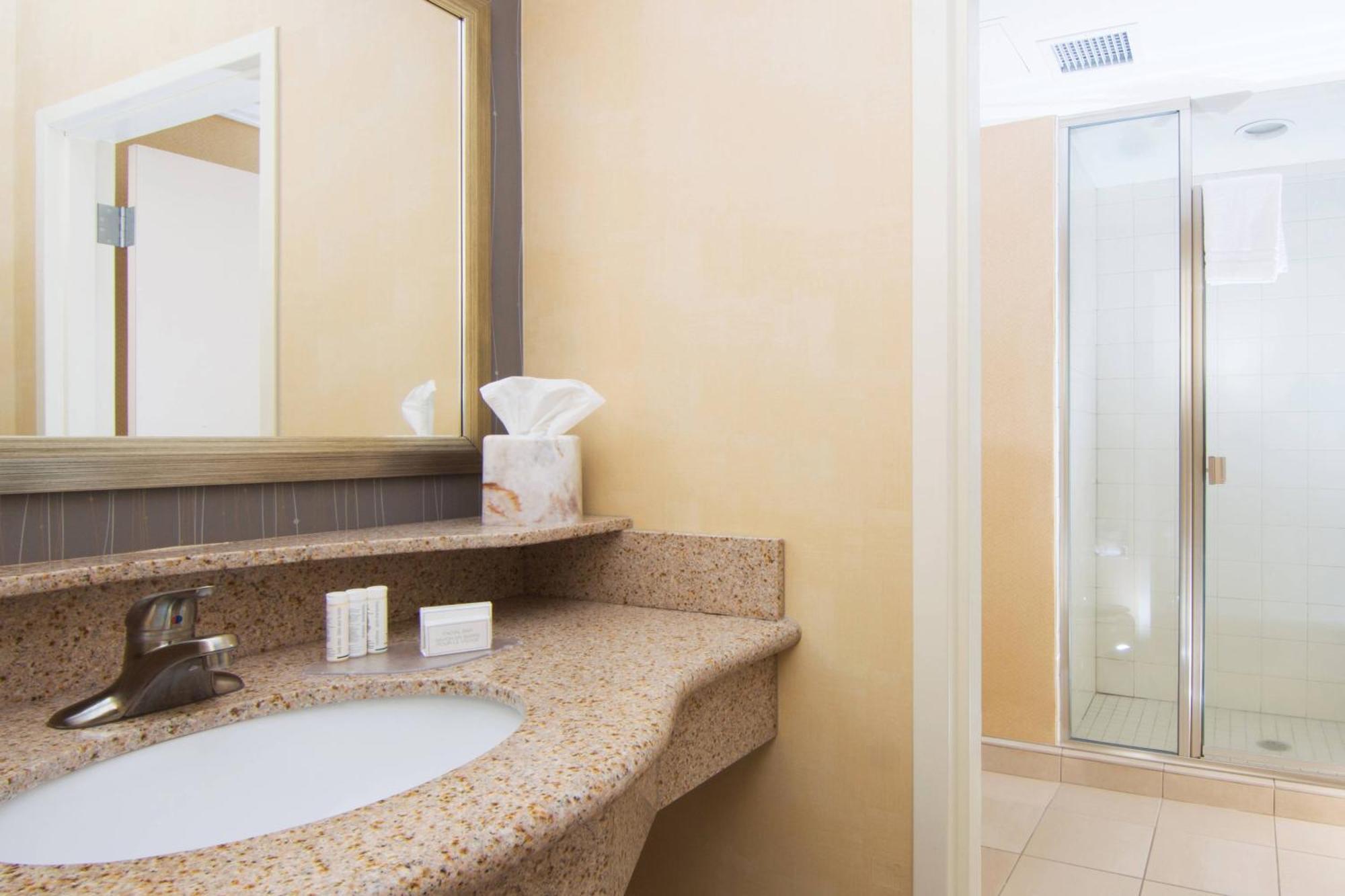 Hotel Courtyard Mayo Clinic Area/saint Marys 3*